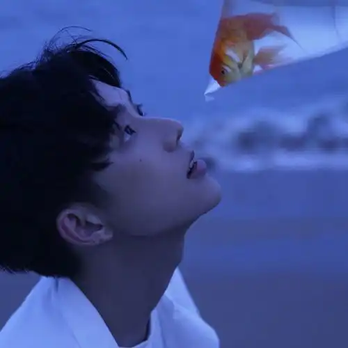 夏日浪漫蓝色头像