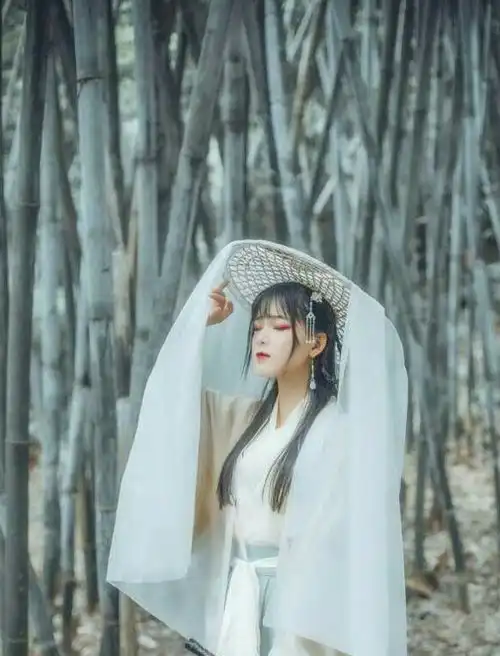 十二星座女专属古装巨蟹忧郁,双子醉酒,白羊侠骨柔情