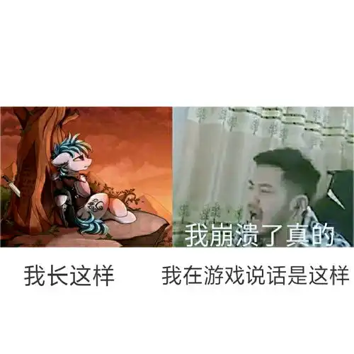 小马宝莉的图片36