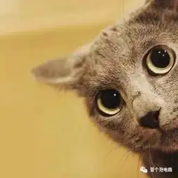 每一个熊孩子身后,都有爱不在服务区的父母