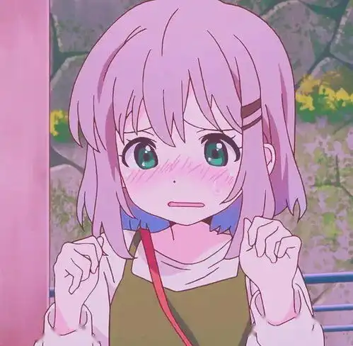 搜狐网