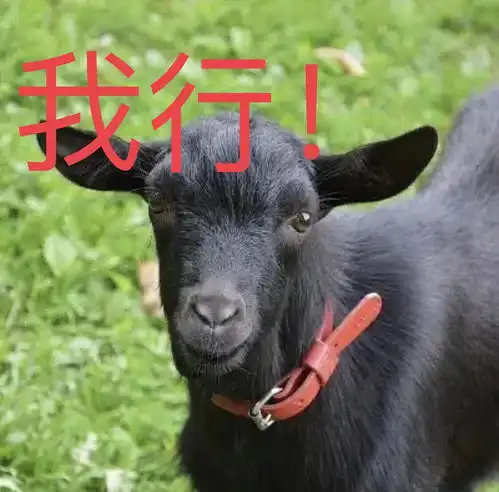 我悟了,结局原来是这样吓我们一跳的祝