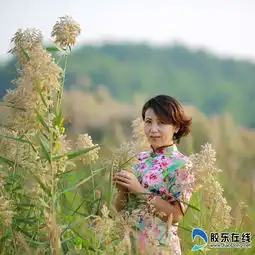 鲁绣达人旗袍秀端庄大方,优雅高贵