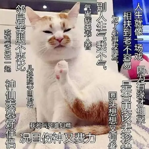 嗨皮男生为什么都这么优幼质稚