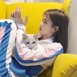 鞠婧祎沙发上撸猫,注意到她的坐姿,粉丝炸锅真当自己没男粉