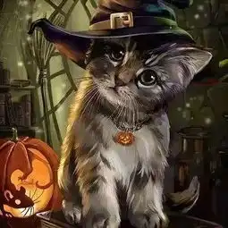 插画师可爱的猫咪插画,快要被萌化了王氏教育集团