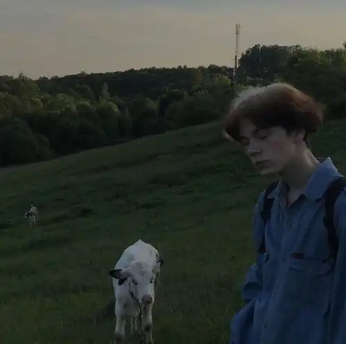 朋友圈文案系列丧系句子