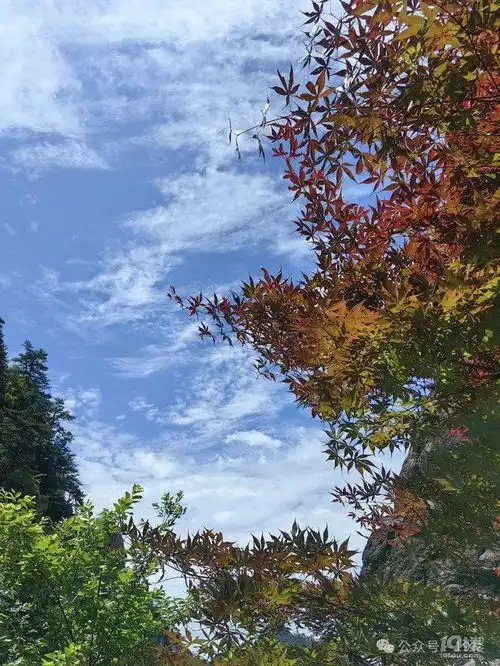 暴雨即将谢幕,不妨跟着19楼网友一起用徒步旅行来迎接大火收汁时刻