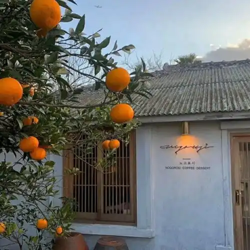 治愈系.温柔文案不经意间闯入生活的人总能惊艳了岁月