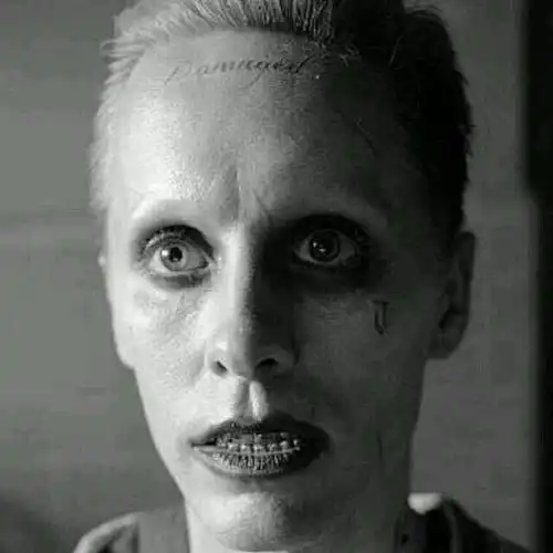 求小丑和哈莉奎茵的情侣头像越多越好,谢