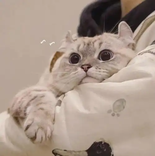 头像等待太久得来的东西多半已经不是当初想要的样子了