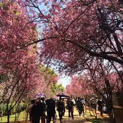 2018昆明动物园门票,昆明昆明动物园游玩攻略,昆明动物园游览攻略路线地址门票价格