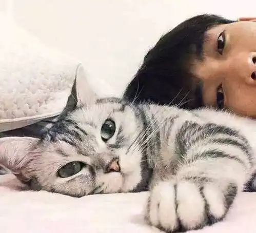 情人节当天,我的猫带着蛋给了我个大惊喜