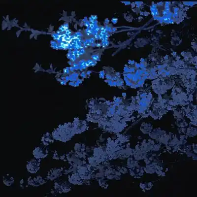 我以前以为秘密不能说现在才知唯美图片我要个性网