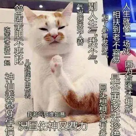 90后得罪谁了竟然都变得各种不堪