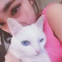 情侣头像女抱猫蓝猫
