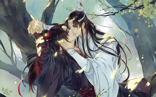 魔道祖师魏无羡蓝忘机,魏婴,唯你是我心之所系,我会护着你