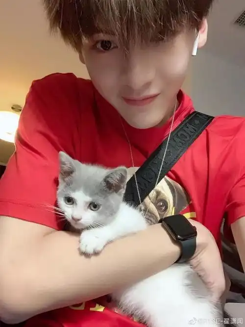 星时尚榜单肖战胡歌李现......你有一位猫系男友待领取