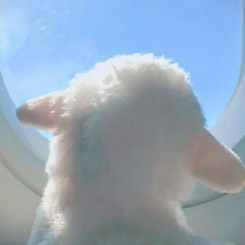 全能千金燃翻天吧