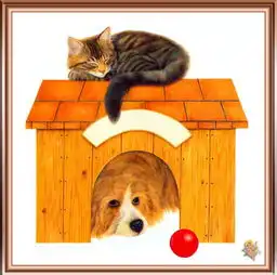 一组超可爱的懒猫插画,萌化每个人的心