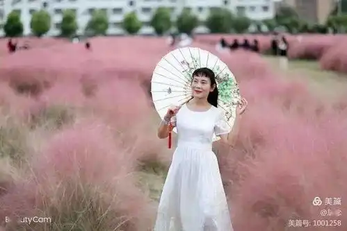 美丽的粉黛,惊艳了秋