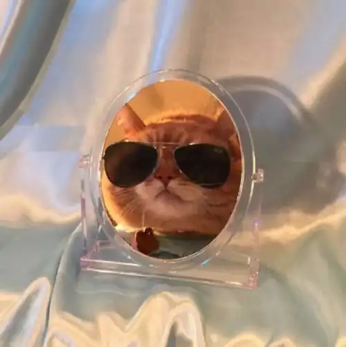 一起换个头像吧