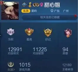 王者荣耀胜率稳定百分之九十九以上,这应该是最强女玩家了吧