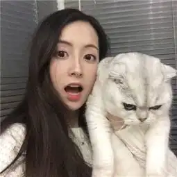 女头猫猫头像