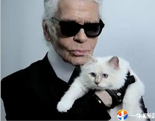 香奈儿老佛爷传奇谢幕1.95亿美元财产将由猫继承或有两种办法