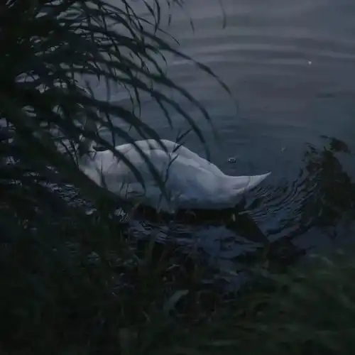 背景图丨你是自己,不是别人腾讯新闻