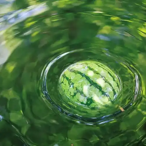 背景图简约的夏日风背景图