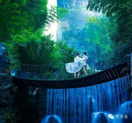 婚纱系的情侣头像一对张