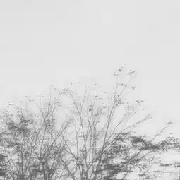 15张通过黑白提升逼格的照片