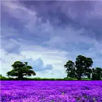 清冷系女生头像风景头像