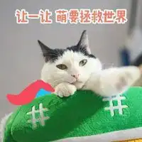 萌萌情侣头像粉色系虎纹