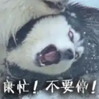 卡通二哈表情包
