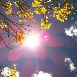 远去的阳光自由还有那个迷失的我