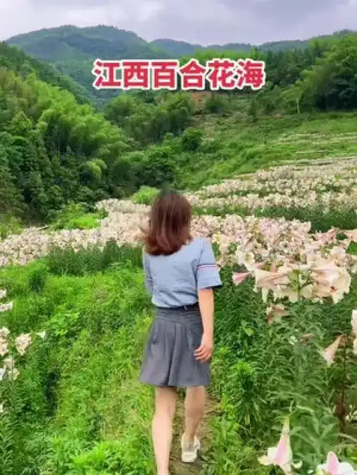 妹妹你大胆的往前走,莫回头活成自己想要的样子一起享受大自然的美治愈系风景