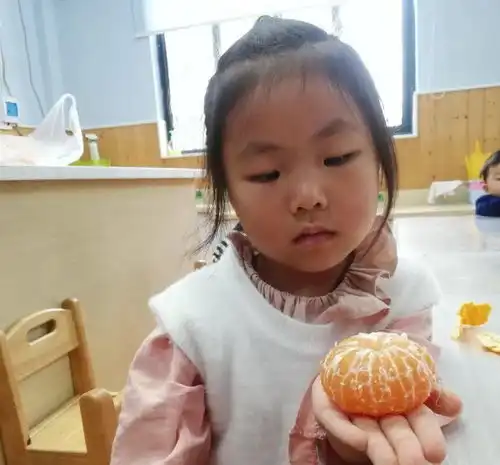 橘落成曲小班段与橘子的故事