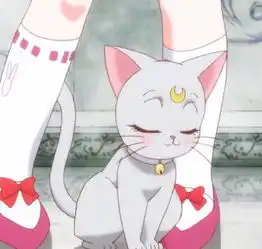 美少女战士猫咪二次元动漫头像少女
