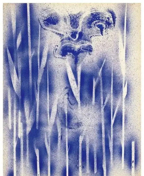 伊夫克莱因人体我的画笔