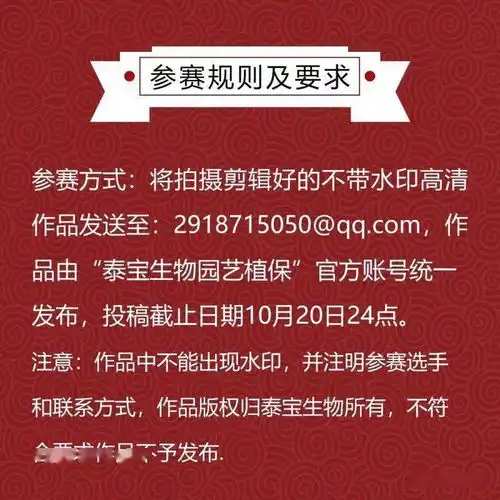 泰宝杯首届抖音短视频创意大赛开始了