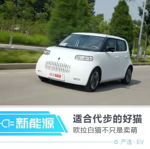 管他黑猫白猫好开还有主动安全就是好猫