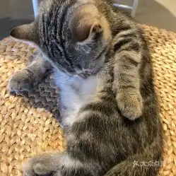 电话,地址,价格,营业时间