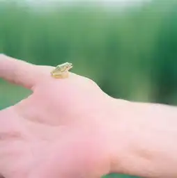 教你用手机拍日系小清新,立刻就出片影楼秀场老师芳子