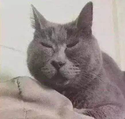 居然有人发自拍给我当头像