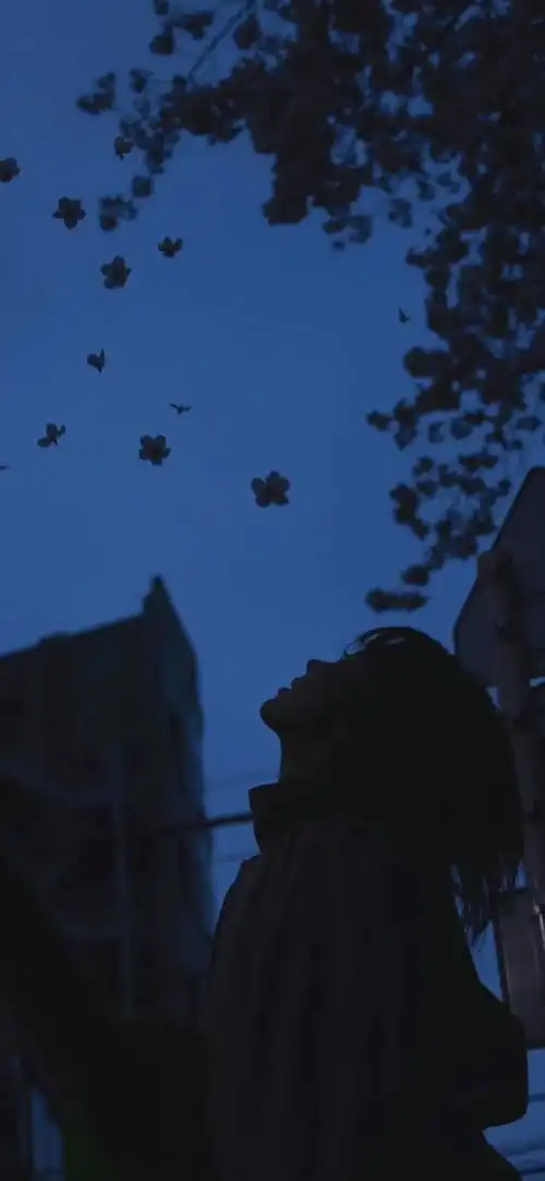 惊艳到我的ins风壁纸