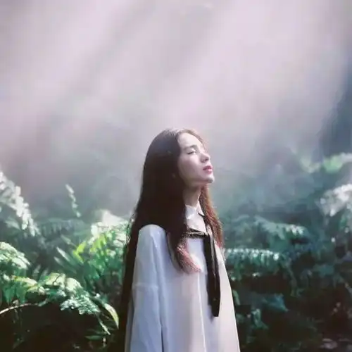 佛系歌单girl们泡杯枸杞菊花茶,做回自己