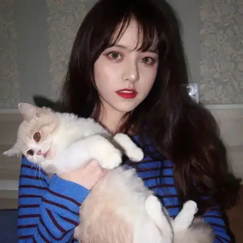 猫系少女头像简单版女生