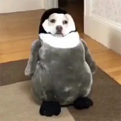 沙雕又有病的头像